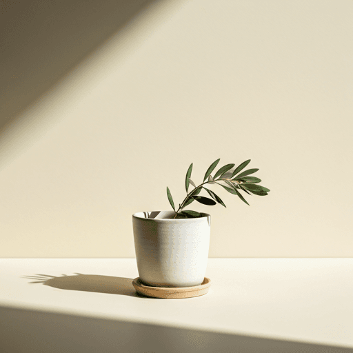 An olive branch in a ceramic pot, with afternoon light on a warm wall